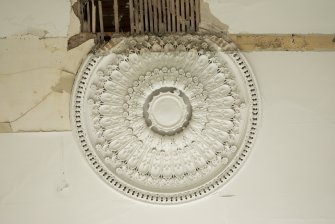 Detail of ceiling rose in North Room on first floor of No 17 Belhaven Terrace West, Glasgow.