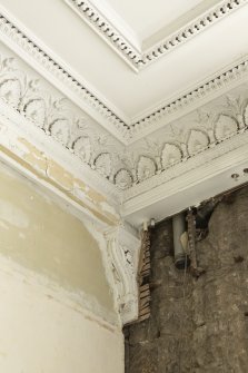 Detail of cornice in North Room on first floor of No 17 Belhaven Terrace West, Glasgow.