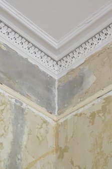 Detail of cornice in East Room on first floor of No 17 Belhaven Terrace West, Glasgow.