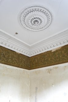 Detail of ceiling rose, cornice and wallpaper in North Room on first floor of No 18 Belhaven Terrace West, Glasgow.