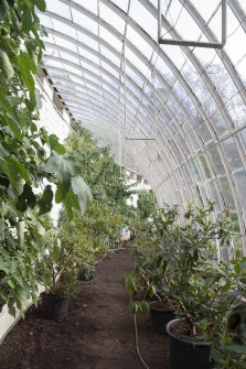 Interior view of curved glasshouse in garden at Brechin Castle.