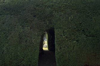View of hedge in garden, Brechin Castle. 