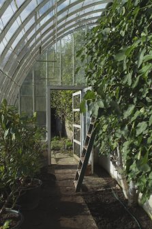 Interior view of curved glasshouse in garden, Brechin Castle. 