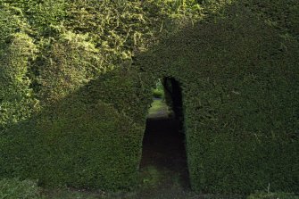View through hedge in garden, Brechin Castle. 