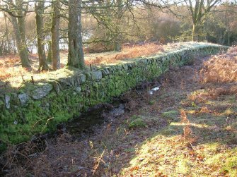 Environmental statement, Boundary wall/bank/ditch, Rohallion Castle, Dunkeld