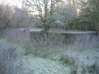 Environmental statement, Enclosure to the S of building, Rohallion Castle, Dunkeld