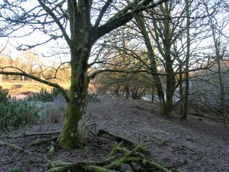 Environmental statement, Panorama view from within W area, Rohallion Castle, Dunkeld