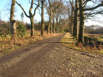 Environmental statement, Panorama of area from track to N of area, Rohallion Castle, Dunkeld