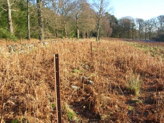 Environmental statement, Line of iron fence posts, Rohallion Castle, Dunkeld