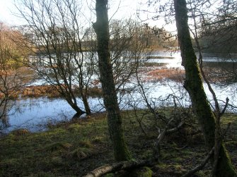 Environmental statement, Area of boathouse, Rohallion Castle, Dunkeld