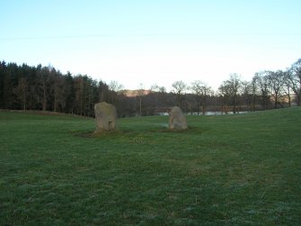 Environmental statement, Standing stones SAM 1584, Rohallion Castle, Dunkeld