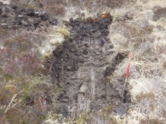 Watching brief, Trial pit 2, Site investigation, Stroupster Farm, Caithness