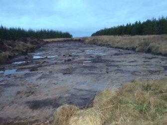 Watching brief, Post-excavation of 20m strip, Construction, Stroupster Farm, Caithness