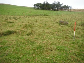 Watching brief, Almost imperceptible round feature in the area of site 116, Kiln remains?, Clashindarroch Windfarm, Aberdeenshire