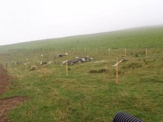 Watching brief, Site 116 fenced, Clashindarroch Windfarm, Aberdeenshire
