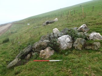 Watching brief, Within 116, Clashindarroch Windfarm, Aberdeenshire