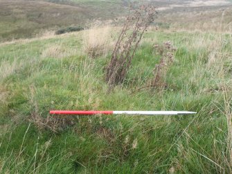 Watching brief, Lime kiln indentified - site 116, Clashindarroch Windfarm, Aberdeenshire