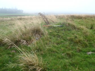 Watching brief, Lime kiln indentified - site 116, Clashindarroch Windfarm, Aberdeenshire