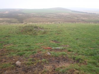 Watching brief, Earthworks between track and 116, Clashindarroch Windfarm, Aberdeenshire