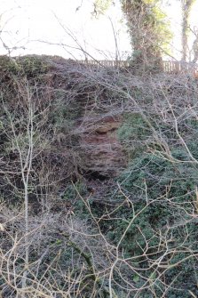 View of the possible cave NT62SW 14.01, taken from the north bank of the Ale Water.