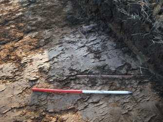 Archaeological evaluation, Field Drain Exposed but undamaged, Site 13, Borders Railway Project