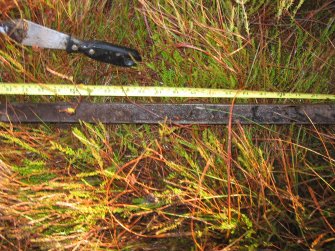 Ground penetrating radar survey, Homogenous peat above the blue-grey layer at Oloclate Site A, Loch of Yarrows, Highland