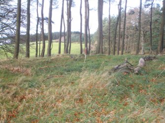 Cultural heritage assessment, Mummer’s Cairn (SM), Proposed wind farm at Hill of Rothmaise, Meikle Wartle, Inverurie, Aberdeenshire