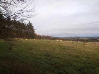 Cultural heritage assessment, View from edge of plantation, immediate E of Mummer’s Cairn, to Hill of Rothmaise, Proposed wind farm at Hill of Rothmaise, Meikle Wartle, Inverurie, Aberdeenshire