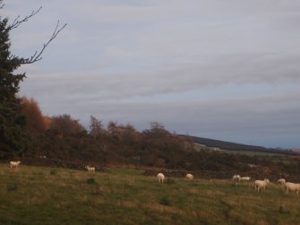 Cultural heritage assessment, Zoomed in shot of Hill of Rothmaise from E side of plantation in which Mummer’s Cairn stands, Proposed wind farm at Hill of Rothmaise, Meikle Wartle, Inverurie, Aberdeenshire