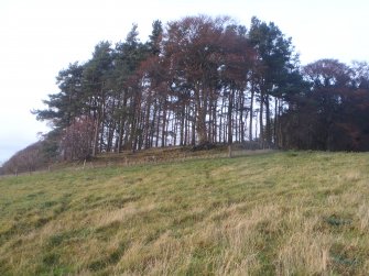 Cultural heritage assessment, View of Mummer’s Carin and the plantation that it sits in, Proposed wind farm at Hill of Rothmaise, Meikle Wartle, Inverurie, Aberdeenshire