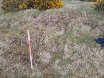 Cultural heritage assessment, Site 1 enclosure, Crakaig Windfarm, Highland