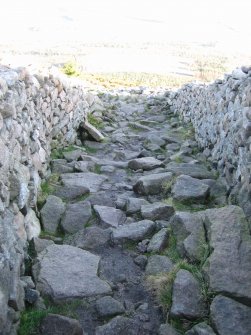 Watching brief, General view of path, Mither Tap Hillfort, Bennachie, Aberdeenshire