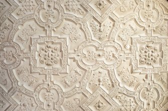 Detail of plasterwork on ceiling of first-floor Gallery, Brechin Castle.
