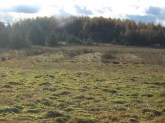 Cultural heritage assessment, Rig and furrow remains, Proposed wind turbines at Brownhill Farm, Shotts, North Lanarkshire