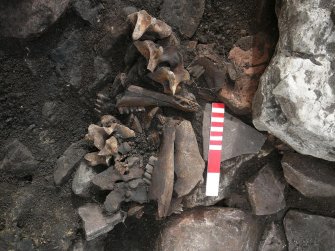 Removal of stone reveals deposit of mixed bones in NW end of passage