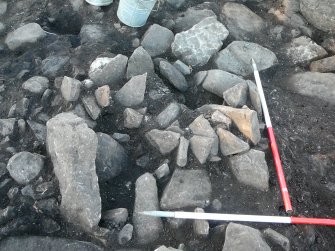 Stone setting in courtyard, dark matrix rich in shell fragments