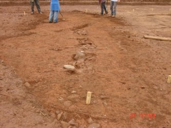 Excavation, Palisade, Whittingehame Tower, Traprain Law Environs project Phase 2, East Lothian