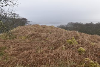 General view of the larger enclosure, Barnluasgan 2, taken from the SW