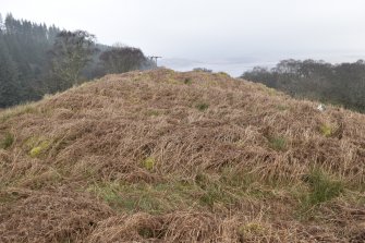 General view of the larger enclosure, Barnluasgan 2, taken from the SW