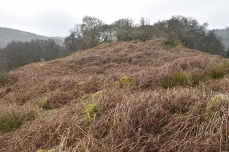 General view of the larger enclosure, Barnluasgan 2, taken from the NE