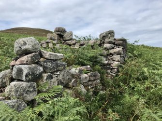 View of the overgrown SE wall of the best-preserved building