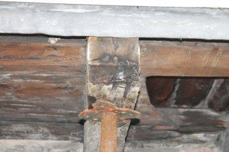 Standing building survey, Beam 2, Close shot of end grain, John Knox's House, 45 High Street, Edinburgh