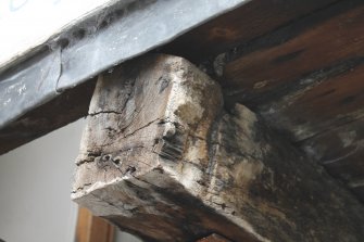 Standing building survey, Beam 3, Detail of end grain, John Knox's House, 45 High Street, Edinburgh