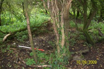 Archaeological evaluation, Structure D, General shot of Structure D, Stirling Road, Strathleven