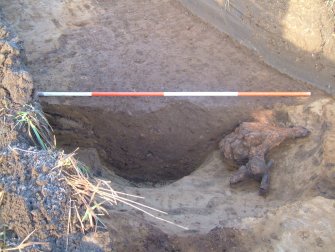 Archaeological evaluation, Trench 3, Slot through ditch terminus [301] - [305], East Beechwood Farm, Highland