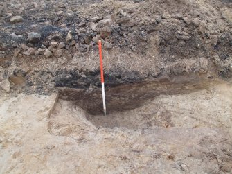 Watching brief, W-facing section through curvilinear feature, Area A/C, Machrihanish