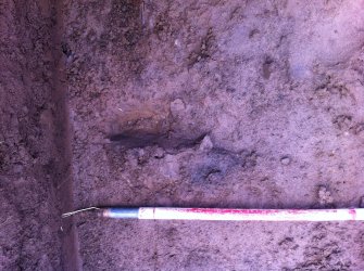 Archaeological evaluation, SE facing section [404], Townend Brae, Phase 2, Symington