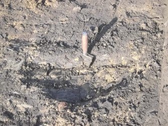 Archaeological evaluation, Section of burrow, Townend Brae, Phase 2, Symington