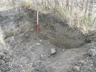 Evaluation Photograph, Trench 9. Post-excavation, facing E, Harvester's Way, Wester Hailes