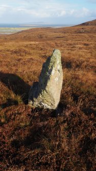 Standing stone, Maari. View from SW. 